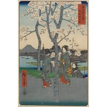Utagawa Hiroshige: Sumida Bank in Edo - Minneapolis Institute of Arts 