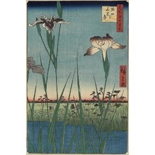 歌川広重: Iris Garden at Horikiri - ミネアポリス美術館