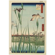 Utagawa Hiroshige: 