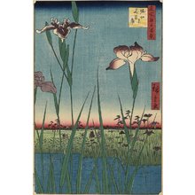 Utagawa Hiroshige, 歌川広重 (Utagawa Hiroshige)による浮世絵「Iris Garden at Horikiri」