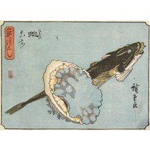 Utagawa Hiroshige: Abalone and Flathead - Minneapolis Institute of Arts 