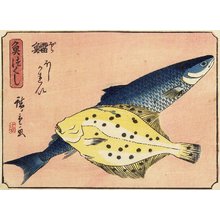 歌川広重: Cod and Halibut - ミネアポリス美術館