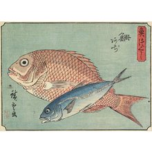 Utagawa Hiroshige: Snapper and Horse Mackerel - Minneapolis Institute of Arts 