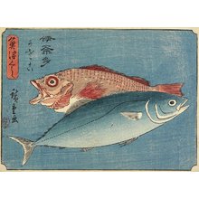 Utagawa Hiroshige: Yellowtail and Rockfish - Minneapolis Institute of Arts 