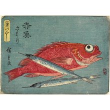 Utagawa Hiroshige: Red Snapper and Halfbeak - Minneapolis Institute of Arts 