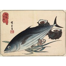 Utagawa Hiroshige: Bonito and Top Shells - Minneapolis Institute of Arts 