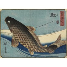 Utagawa Hiroshige: Carp - Minneapolis Institute of Arts 