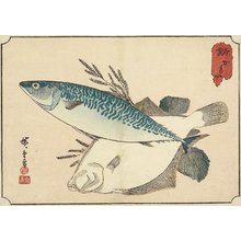 Utagawa Hiroshige: Mackerel and Halibut - Minneapolis Institute of Arts 