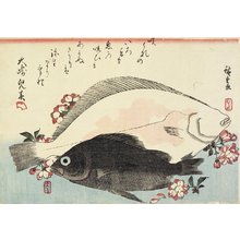Utagawa Hiroshige: (Fluke and Black Bass, Cherry Blossoms) - Minneapolis Institute of Arts 