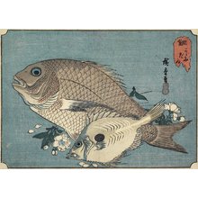 Utagawa Hiroshige: Sea Breams - Minneapolis Institute of Arts 