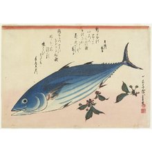 Utagawa Hiroshige: Bonito and Cherry Leaves - Minneapolis Institute of Arts 