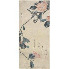 Utagawa Hiroshige: (Bird on Camellia) - Minneapolis Institute of Arts 