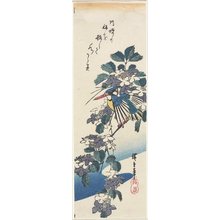 歌川広重: (Kingfisher and Hydrangea) - ミネアポリス美術館