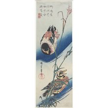 Utagawa Hiroshige: Ducks and Reeds - Minneapolis Institute of Arts 