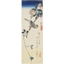 Utagawa Hiroshige: Java Sparrow and Magnolia - Minneapolis Institute of Arts 