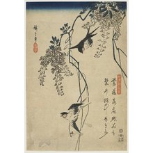 Utagawa Hiroshige: Swallows Flying through Wisteria Vines - Minneapolis Institute of Arts 