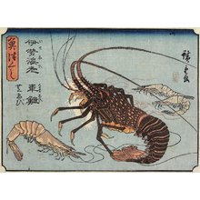 歌川広重: Lobster, Prawn and Shrimps - ミネアポリス美術館