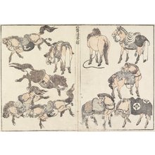 葛飾北斎: Horses - ミネアポリス美術館