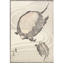 Katsushika Hokusai: Sayama-ga-ike Pond in Musashi Province - Minneapolis Institute of Arts 