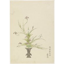 Unknown: Flower Arrangement by Takada Anritsubo Untai; Irises - Minneapolis Institute of Arts 