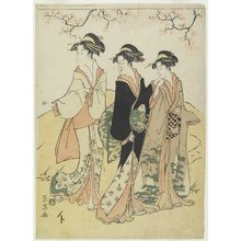 Hosoda Eisho_: (Three Courtesans under Cherry Tree) - Minneapolis Institute of Arts 