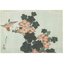 Katsushika Hokusai: Rose Mallow and Sparrow - Minneapolis Institute of Arts 