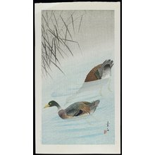Komori Soseki: Ducks in Water - Minneapolis Institute of Arts 