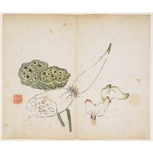 Ryoshin: Lotus Roots - ミネアポリス美術館