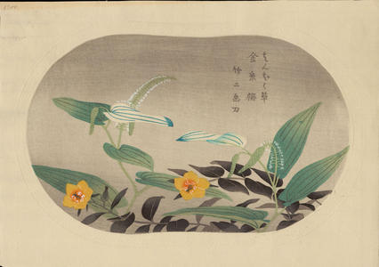 Asano Takeji: Saururus Chinensis and Hypericum Patulum - Ohmi Gallery