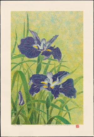 Katsuda, Yukio: No 205 Iris - 花菖蒲 - Ohmi Gallery