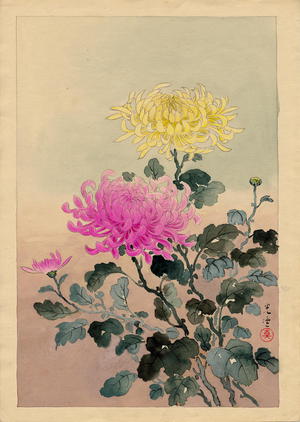 風光礼讃: Chrysanthemum - 菊 - Ohmi Gallery