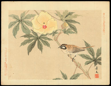 Keibun Matsumoto: Meadow Bunting and Hibiscus Esculentus - ホオジロ鳥 黄秋葵（オクラ） - Ohmi Gallery