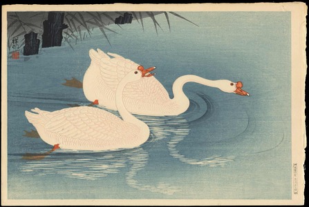 Shoson Ohara: Two Swimming Geese (1) - Ohmi Gallery