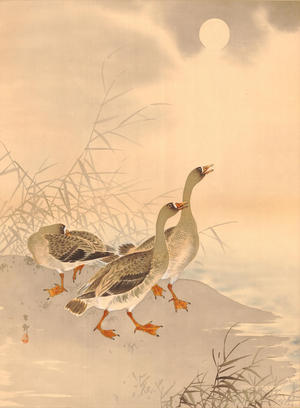 Shoson Ohara: Three Geese and Sun (1) - Ohmi Gallery