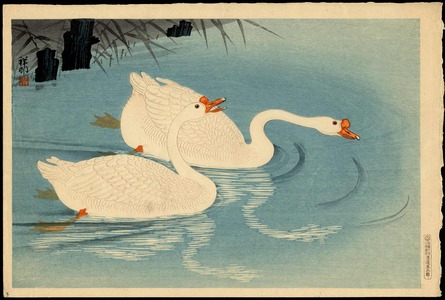 Shoson, Oharaによる浮世絵「Two Swimming Geese (1)」