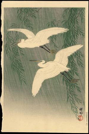 Shoson Ohara: White Herons and Willow - 柳に白鷺 - Ohmi Gallery