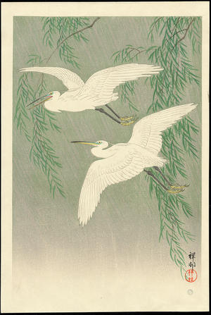 Shoson Ohara: White Herons and Willow - 柳に白鷺 - Ohmi Gallery