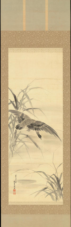 Shoson Ohara: Wild Geese and Reed - 蘆雁之図 - Ohmi Gallery