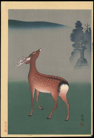 向陽: Deer - Ohmi Gallery