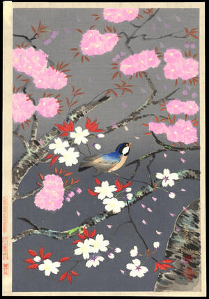 Bakufu Ohno: Cherry Blossoms - Ohmi Gallery