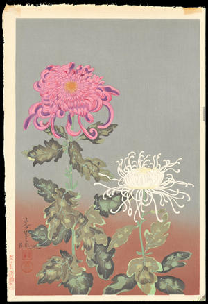 Bakufu Ohno: Chrysanthemum (Red and White) - Ohmi Gallery