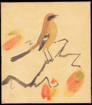 大野麦風: Shrike on Persimmon Branch - Ohmi Gallery