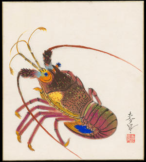 大野麦風: Spiny Lobster - イセエビ - Ohmi Gallery