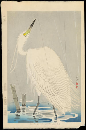 Nakamura Shundei 春泥: Little Egret - 小鷺 - Ohmi Gallery