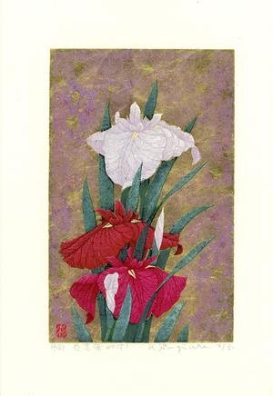 Sugiura Kazutoshi: Iris No. 151 - 花菖蒲 151 - Ohmi Gallery