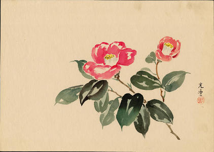 風光礼讃: Camellia - 椿 (1) - Ohmi Gallery