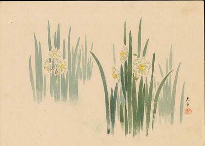 Tsuchiya Koitsu: Narcissus (1) - Ohmi Gallery