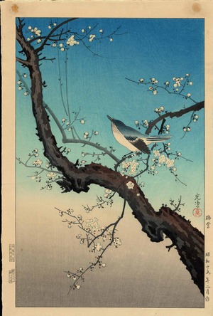 風光礼讃: Plum Warbler - 梅鶯 - Ohmi Gallery - 浮世絵検索