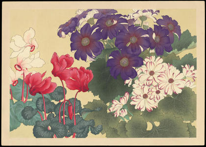 Unknown: Flowers (1) - Ohmi Gallery