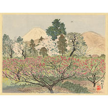 Jokata Kaiseki: Mt Fuji From Peach Orchards of Hara - Ohmi Gallery